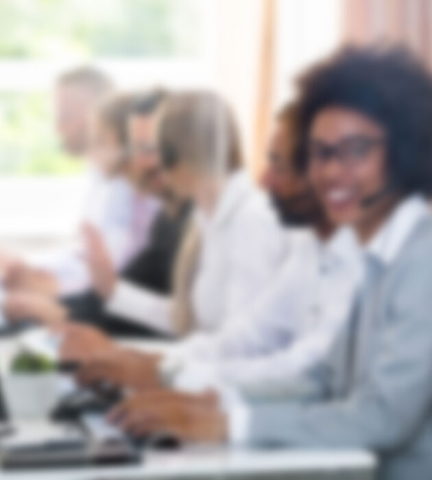 Executive or Technical VA (High-Level VA)